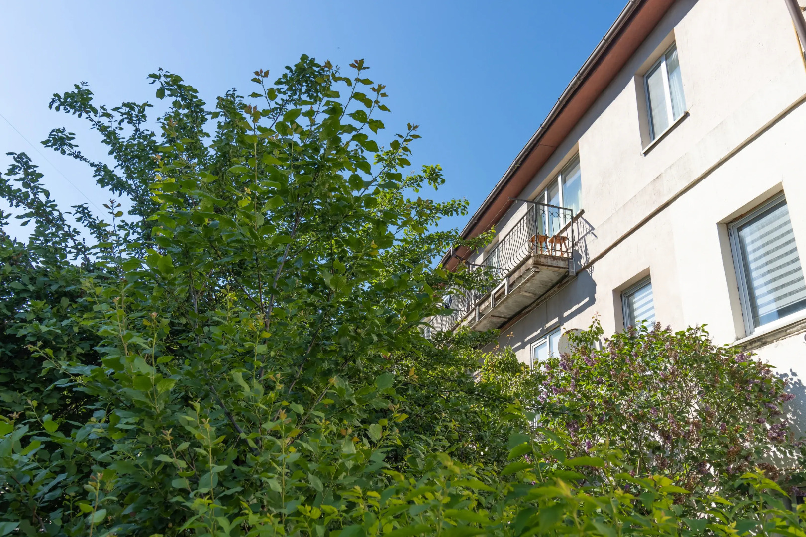 Апартаменты У Моря Пионерский