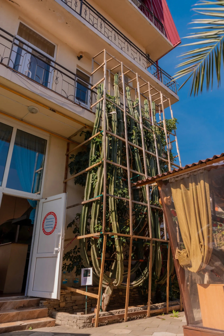 Гостевой дом Даниэль