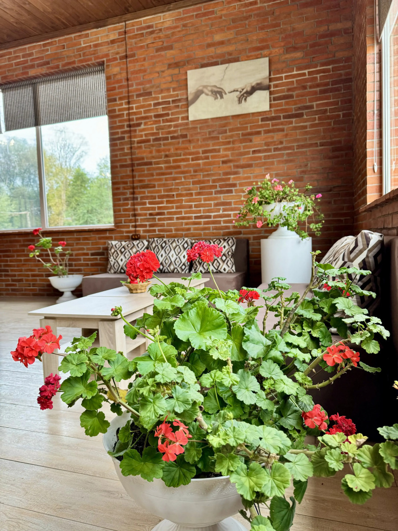 Отель Park Hotel ATLAS