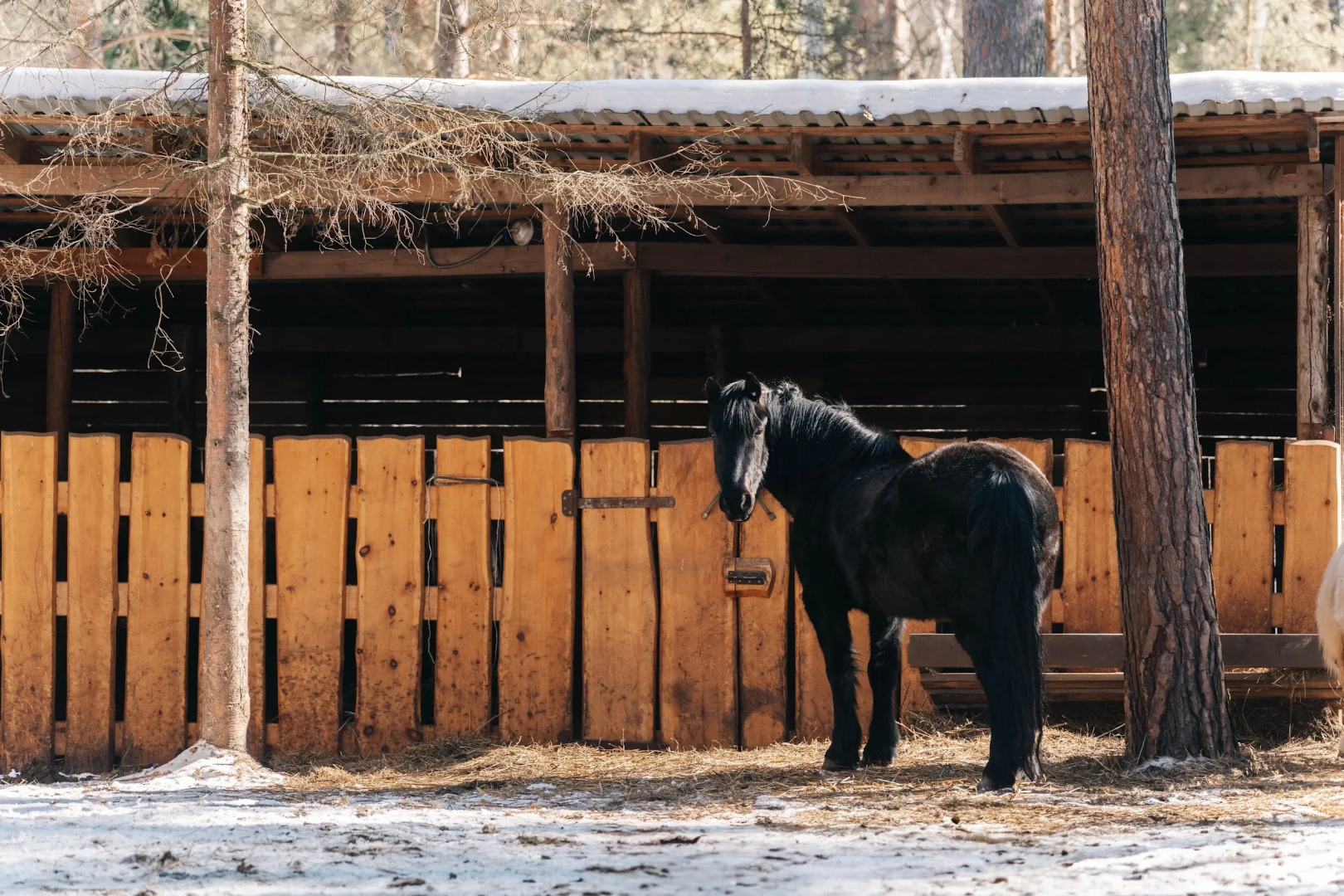 База отдыха Парк-отель Канжуль