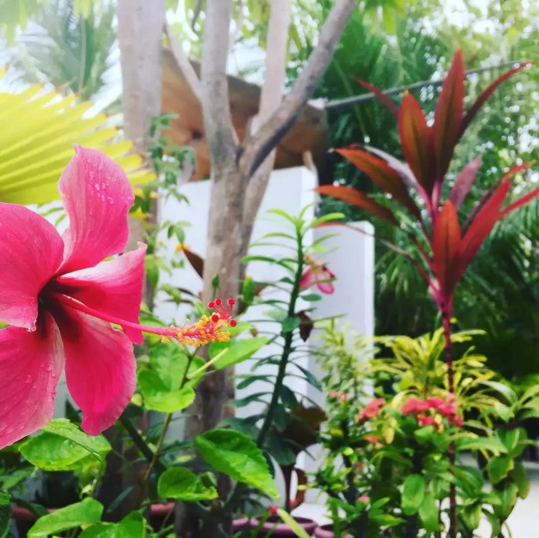 Гостевой дом Manta Inn