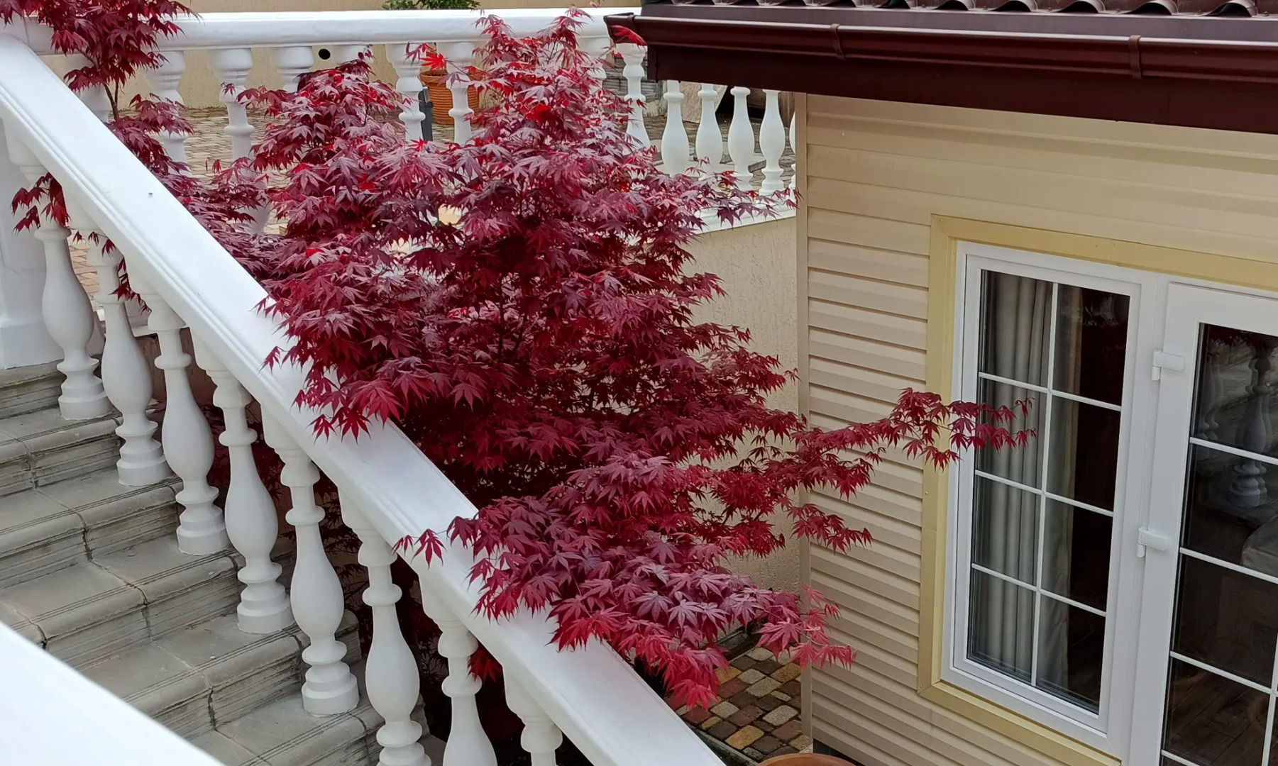 Гостевой дом Французский дом