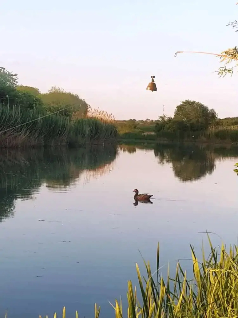 Частный дом У реки коттедж с баней на дровах и купелью