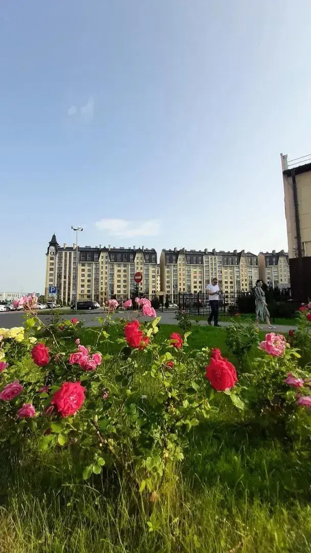 Квартира Кранц-Престиж AllesHome
