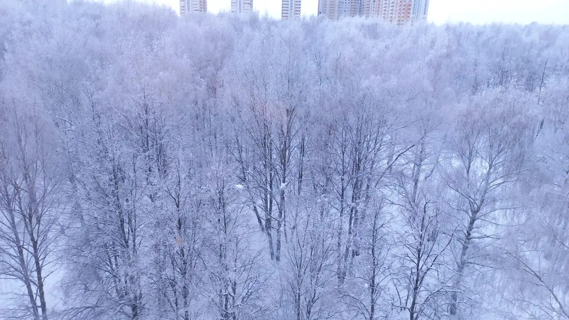 Апартаменты Home Away From Home