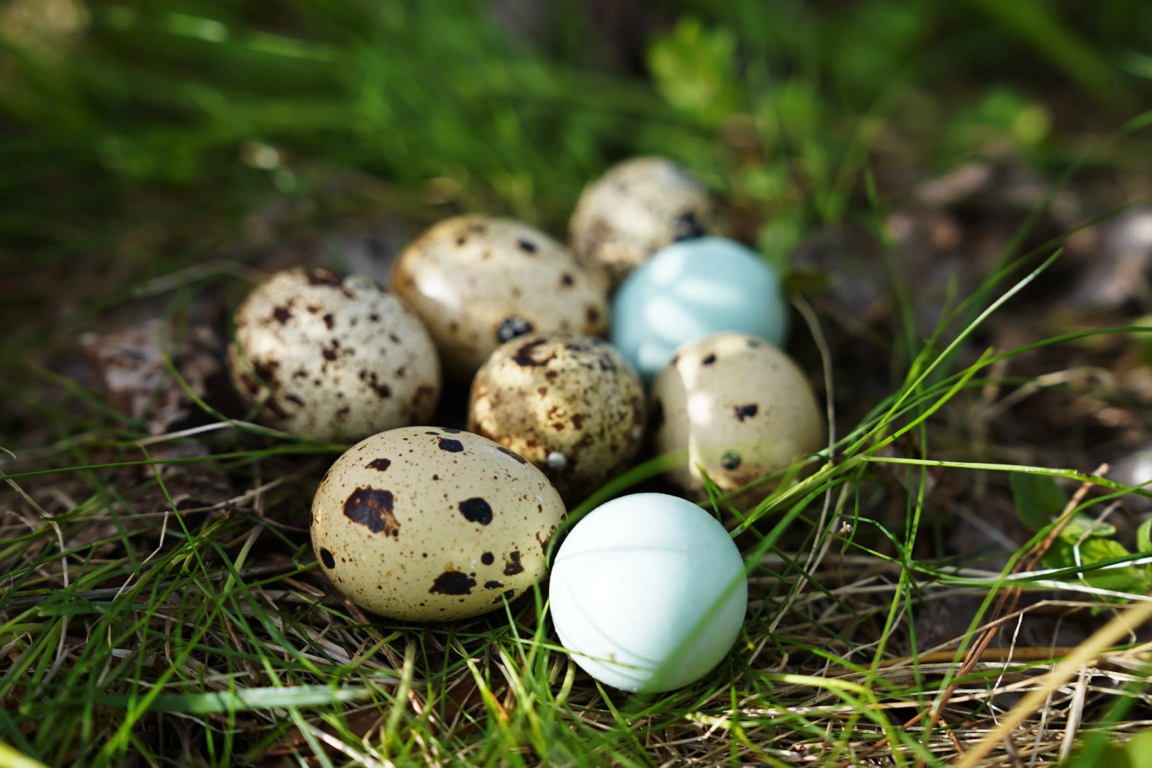 Дом Уютный в стиле Прованс