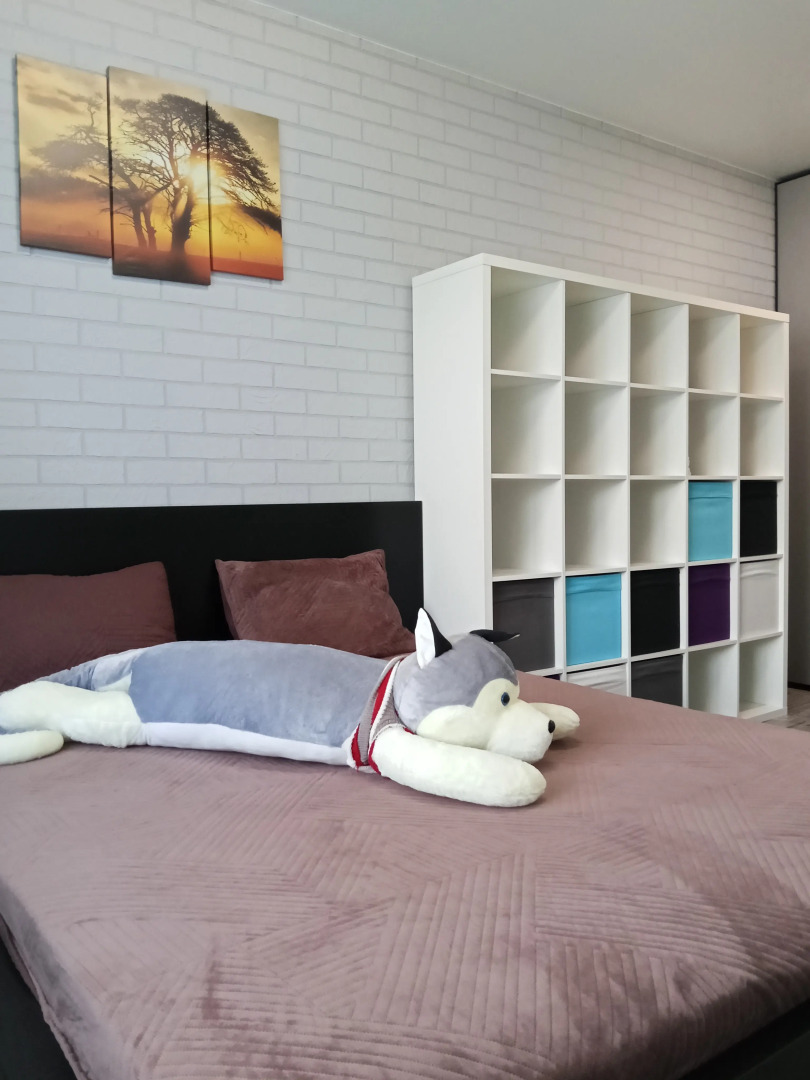 Апартаменты Сибирский уют