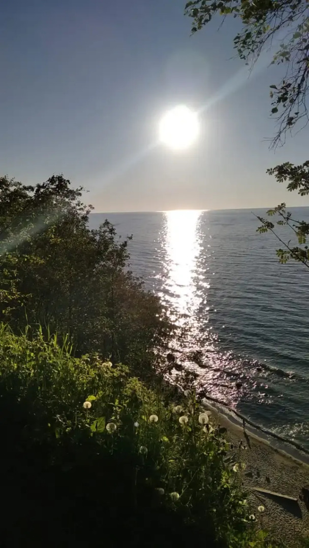 Апартаменты Баден 64 в комплексе Bellevue