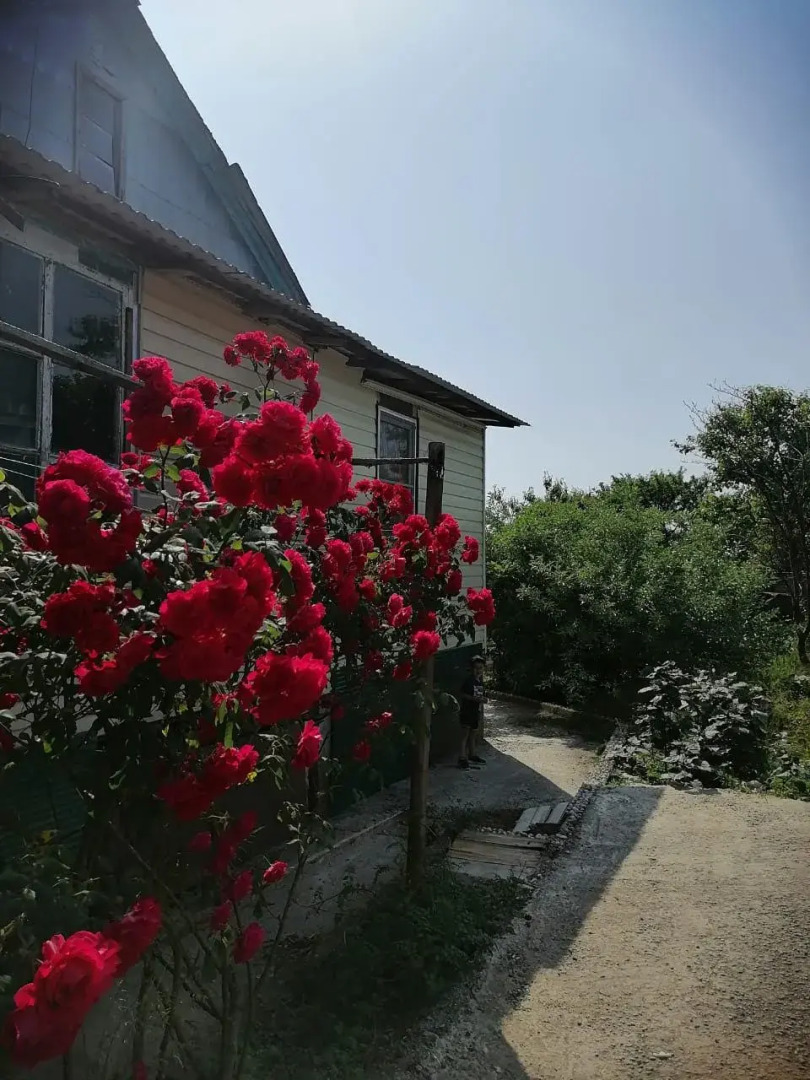 Гостевой дом Феличита