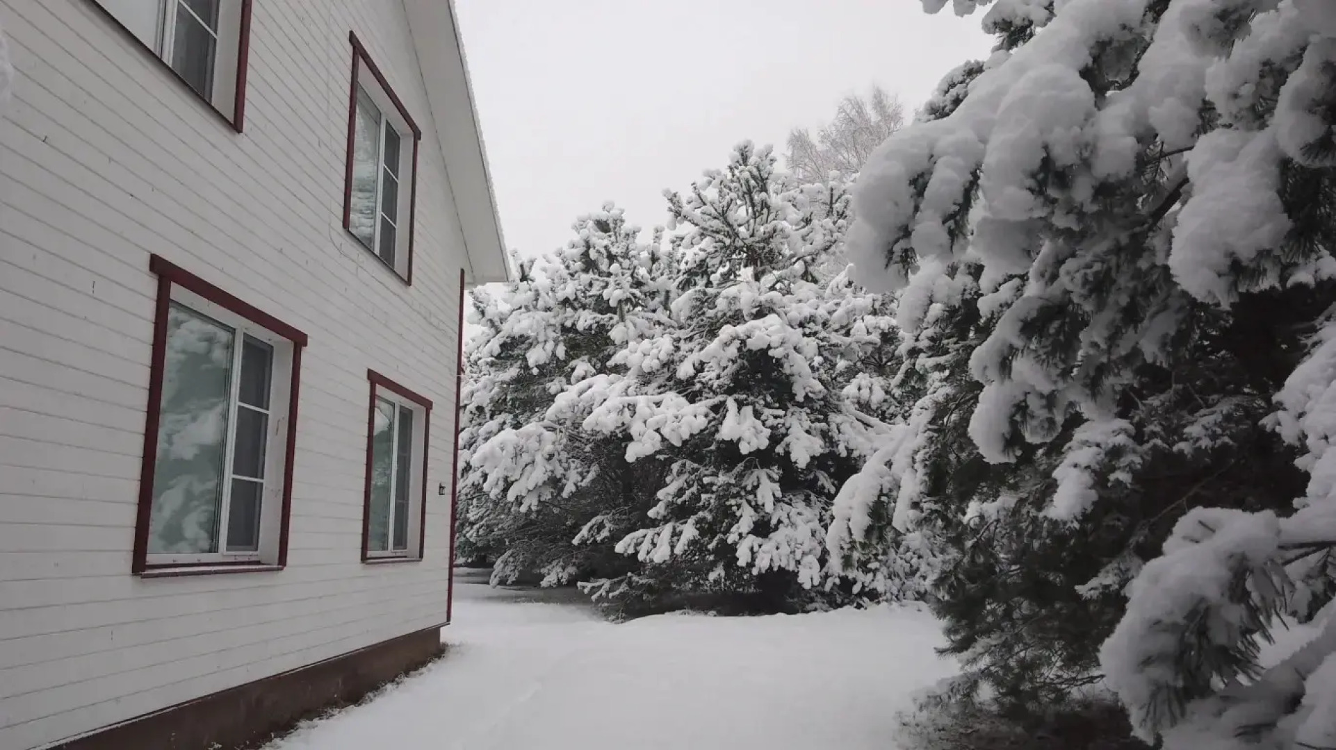 Частный дом Хитрый Лис