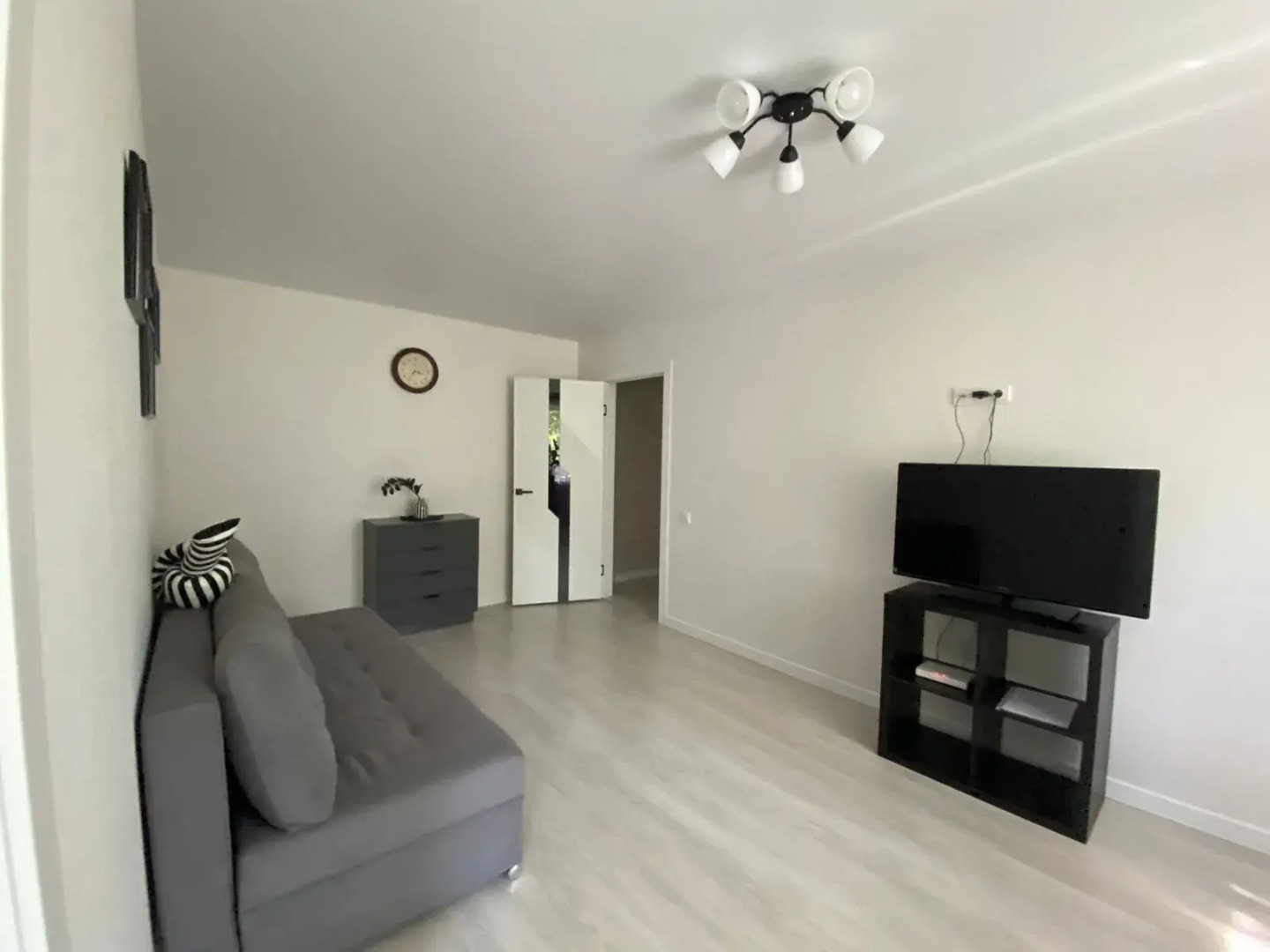 Квартира с замиакулькасами