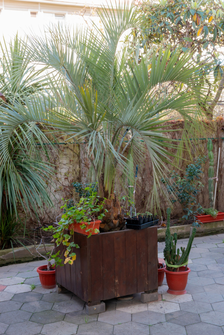 Гостевой дом Даниэль