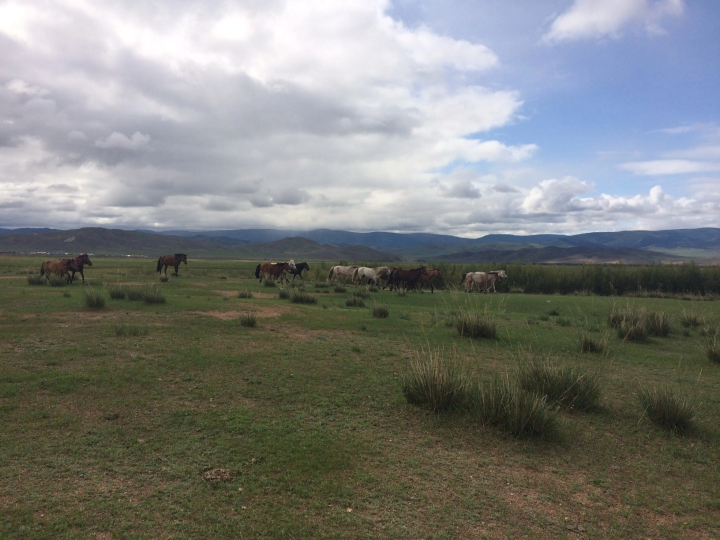 Отель 50100 Hotel & Restaurant