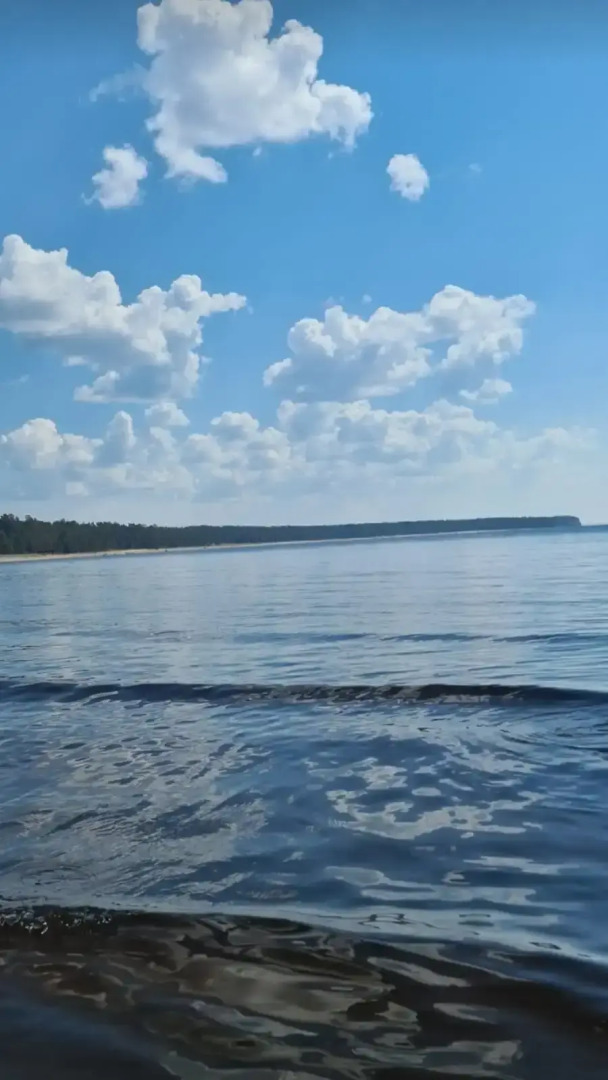 Гостевой дом Лисий берег