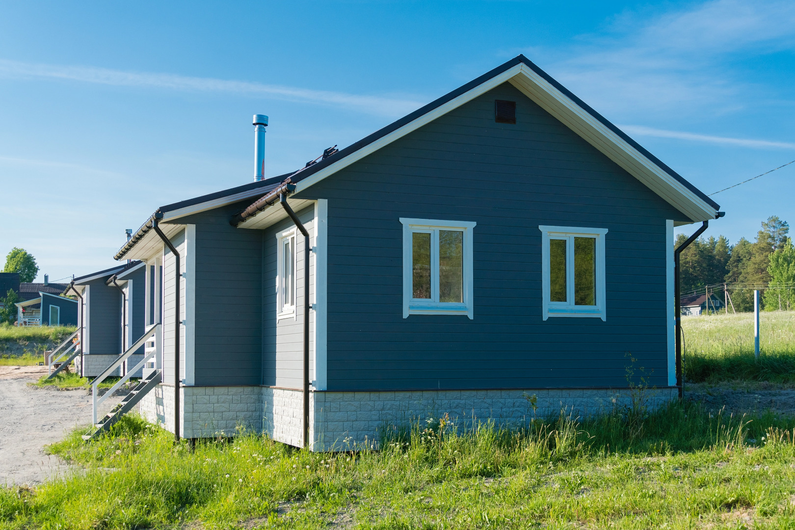 Частный Дом Утиная История