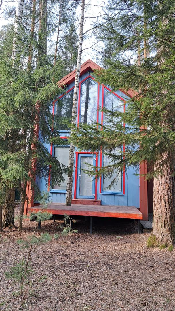 Частный дом в Заветах Ильича с голубой гостиной