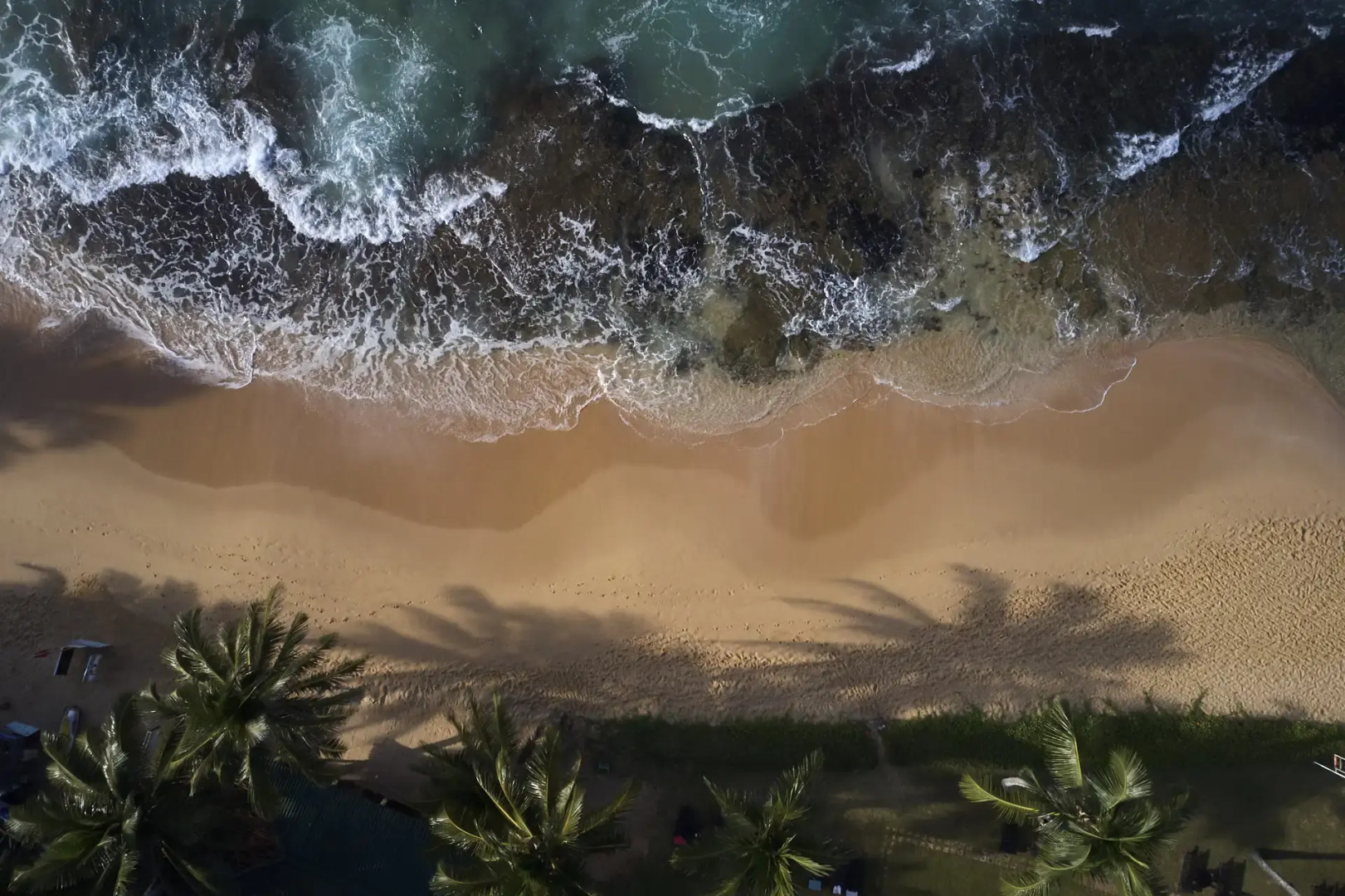 Отель Citrus Hikkaduwa