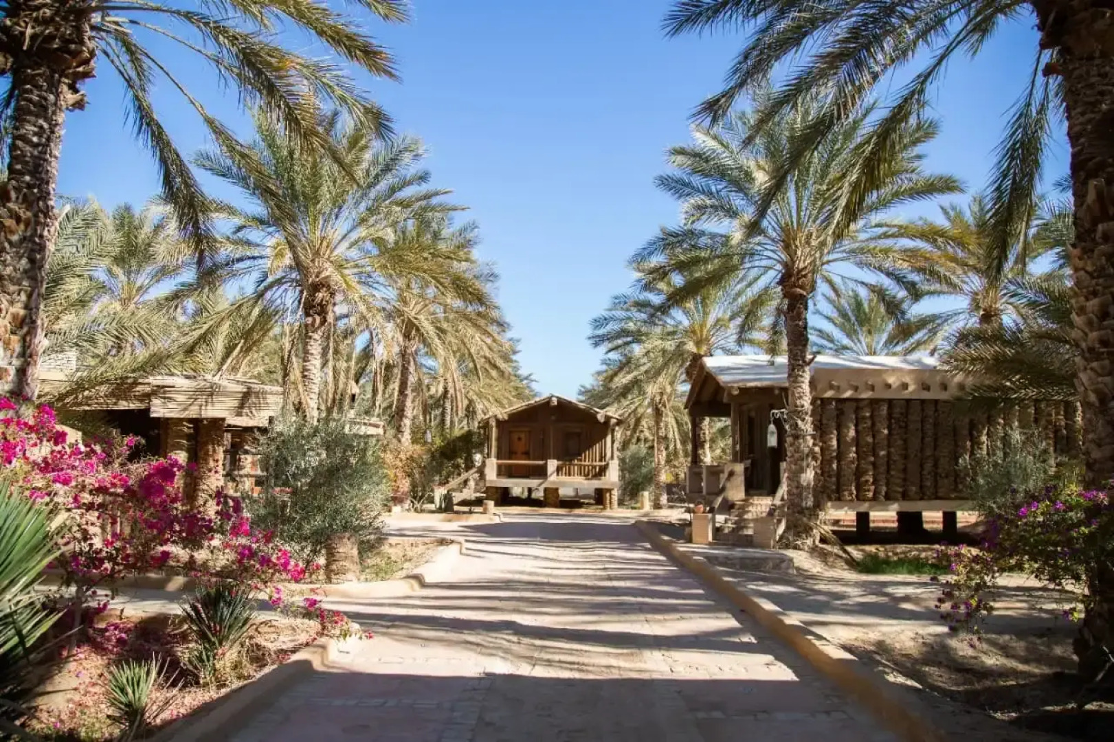 Гостевой дом DAR HORCHANI