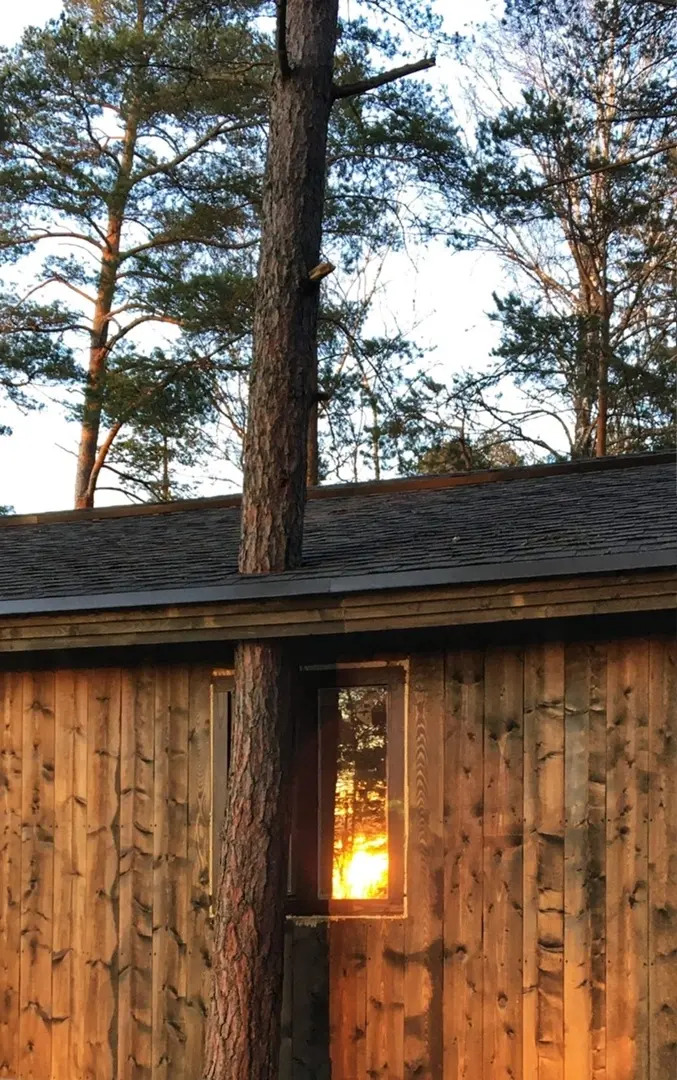 База отдыха Янтарный берег