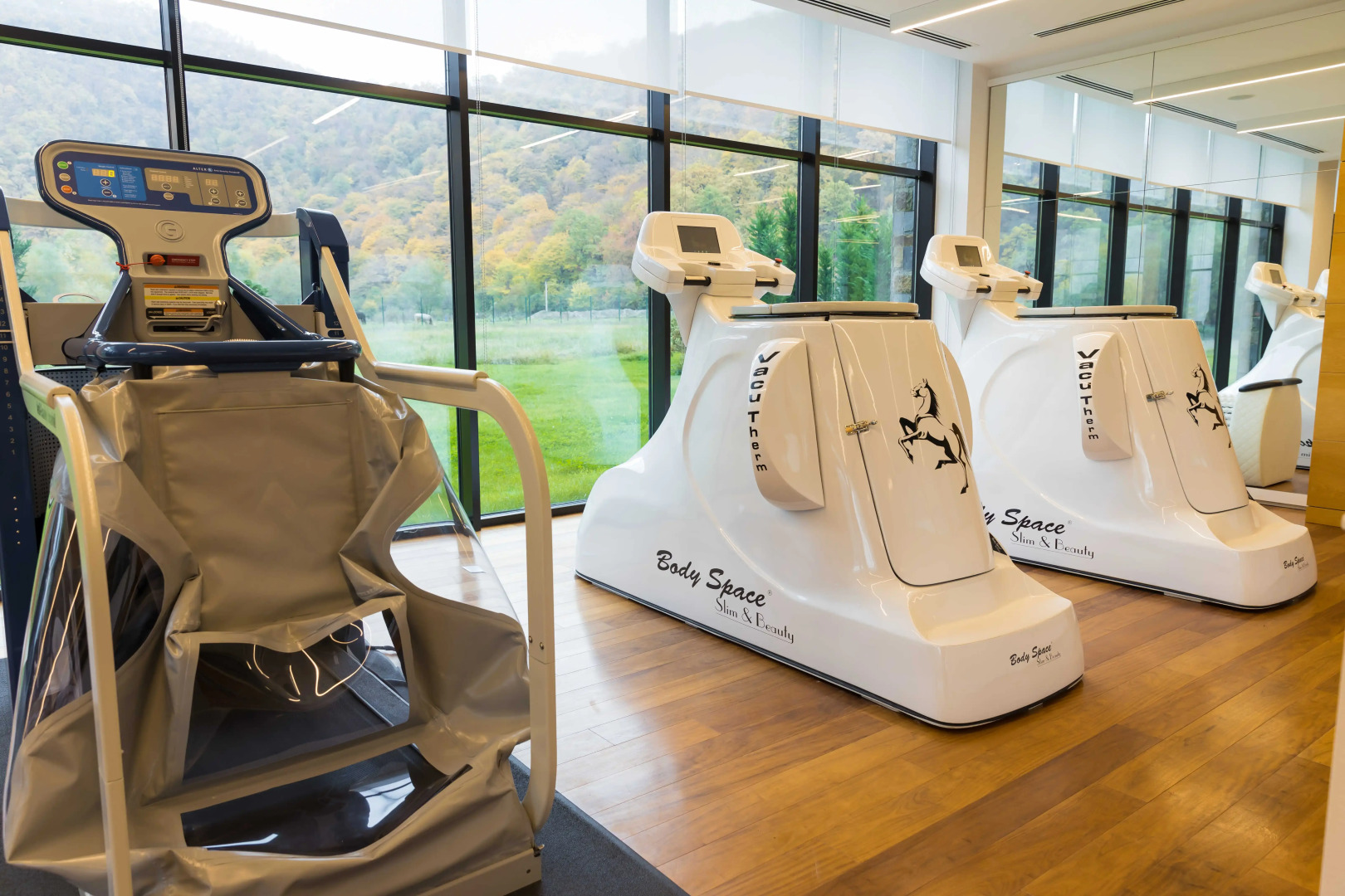 Отель Chenot Palace Gabala 