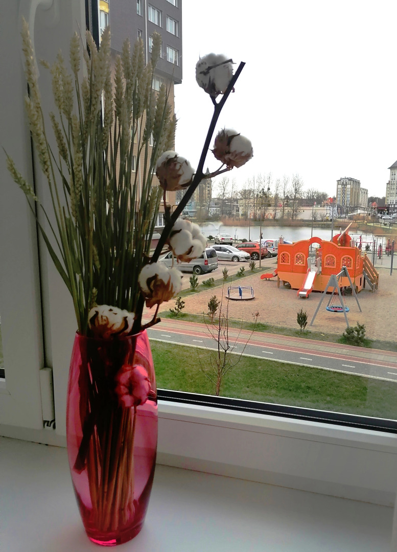 Однокомнатные апартаменты Зеленоградск Кранц Парк