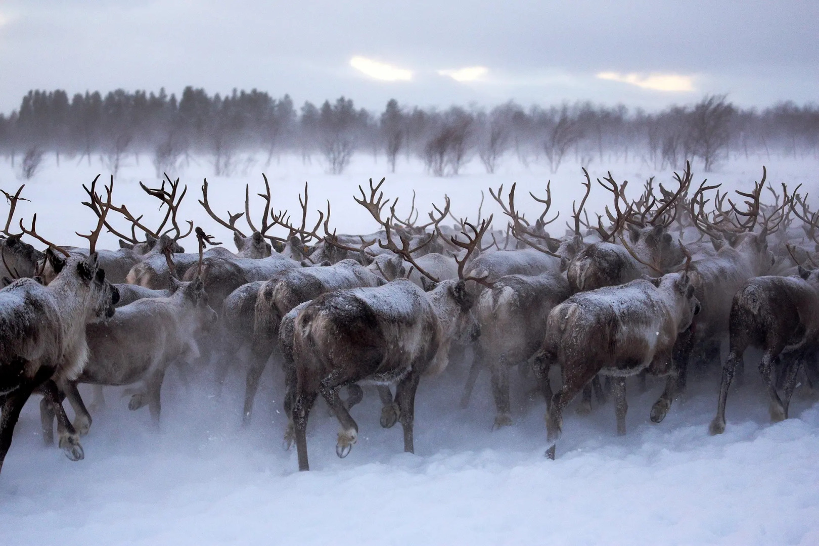 Кемпинг Sava Syo