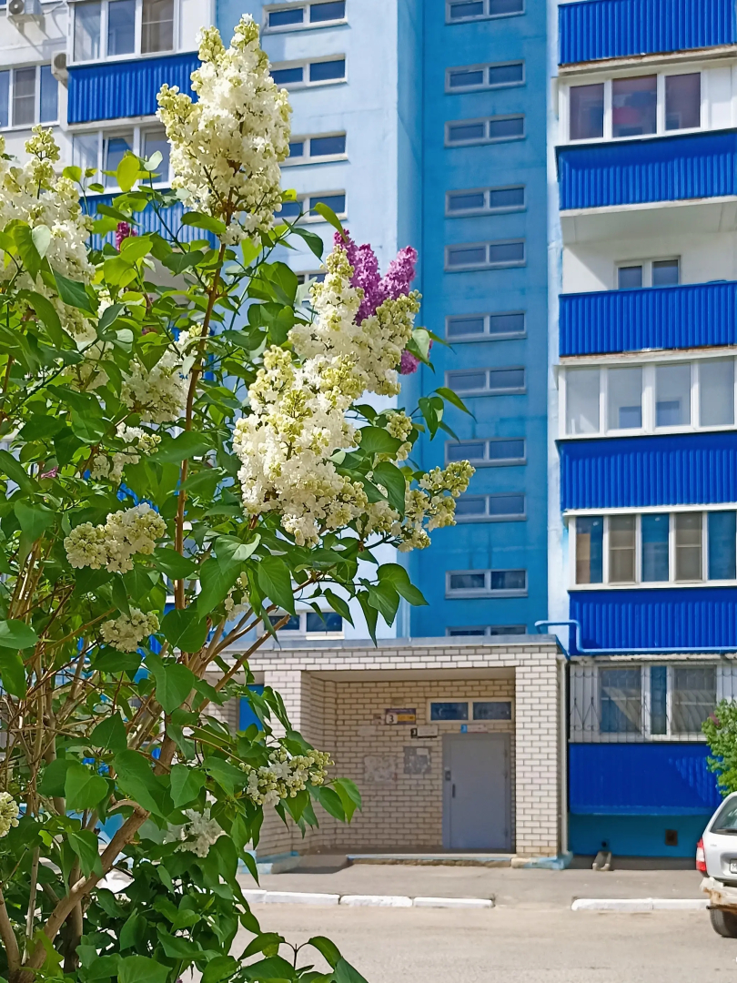 Апартаменты Комфорт и домашний уют 116