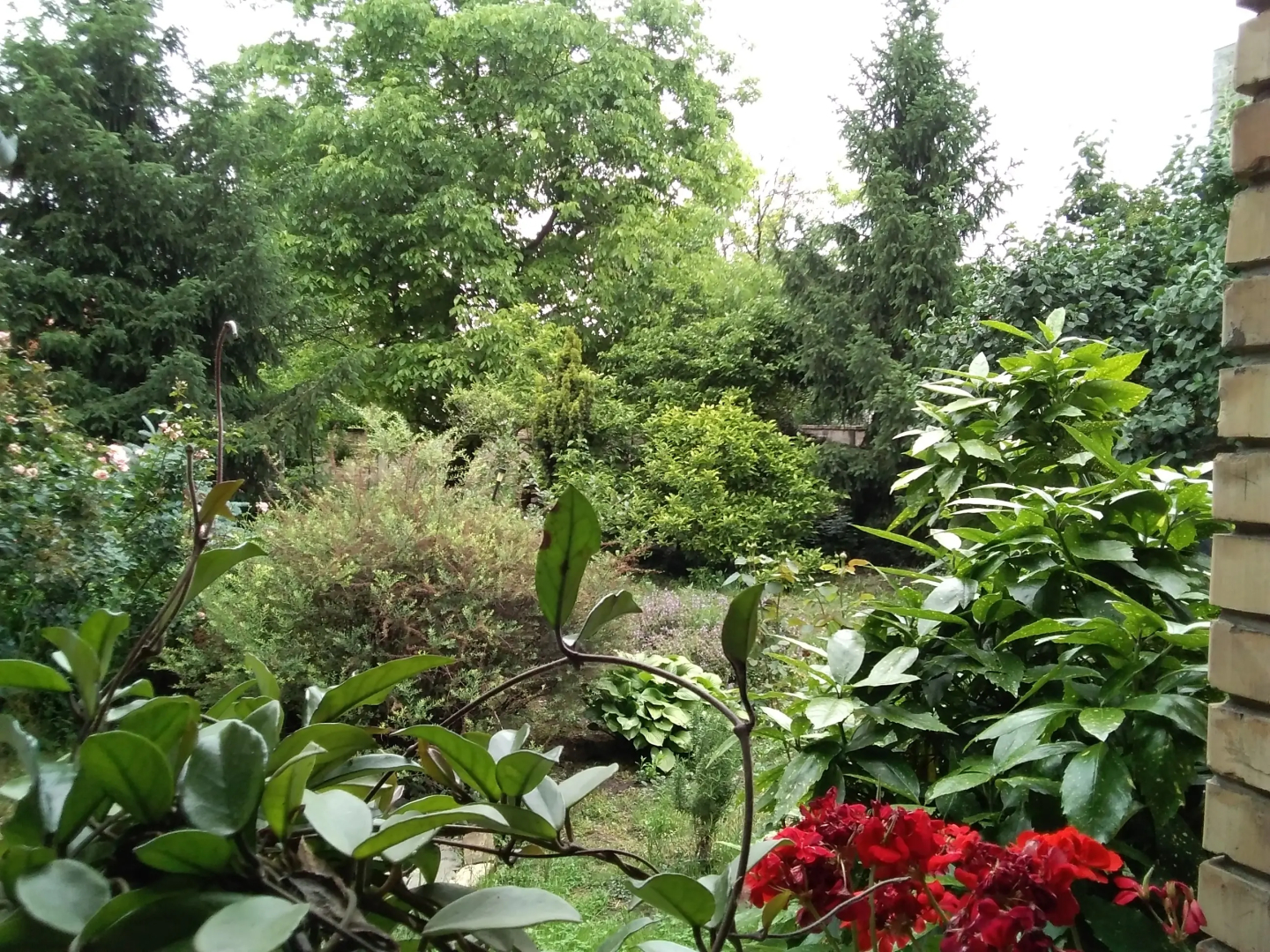 Гостевой дом Citadela