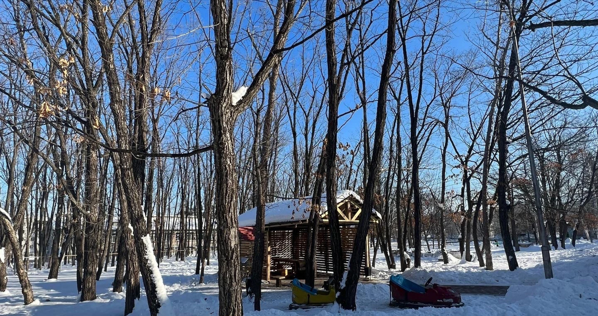 Дубравушка