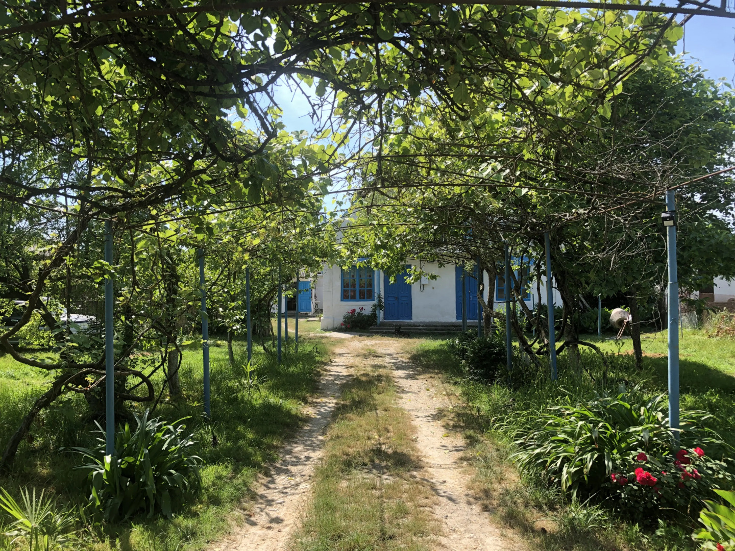 Гостевой Дом Santorini в Абхазии