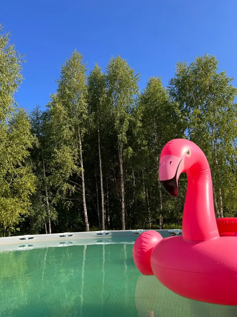 Частный дом  Новый Загородный