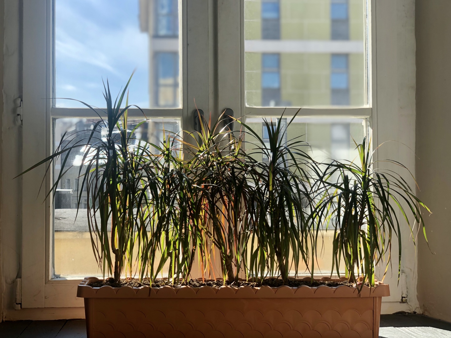 Хостел Nw Hostel