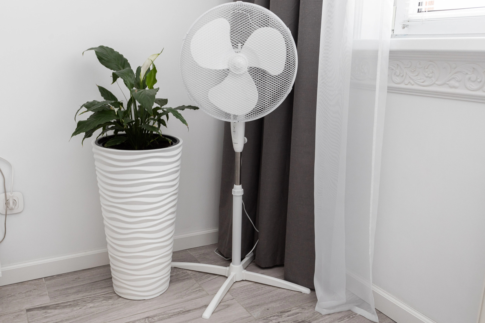 Квартира ALBUS рядом с Центром и электричкой к морю