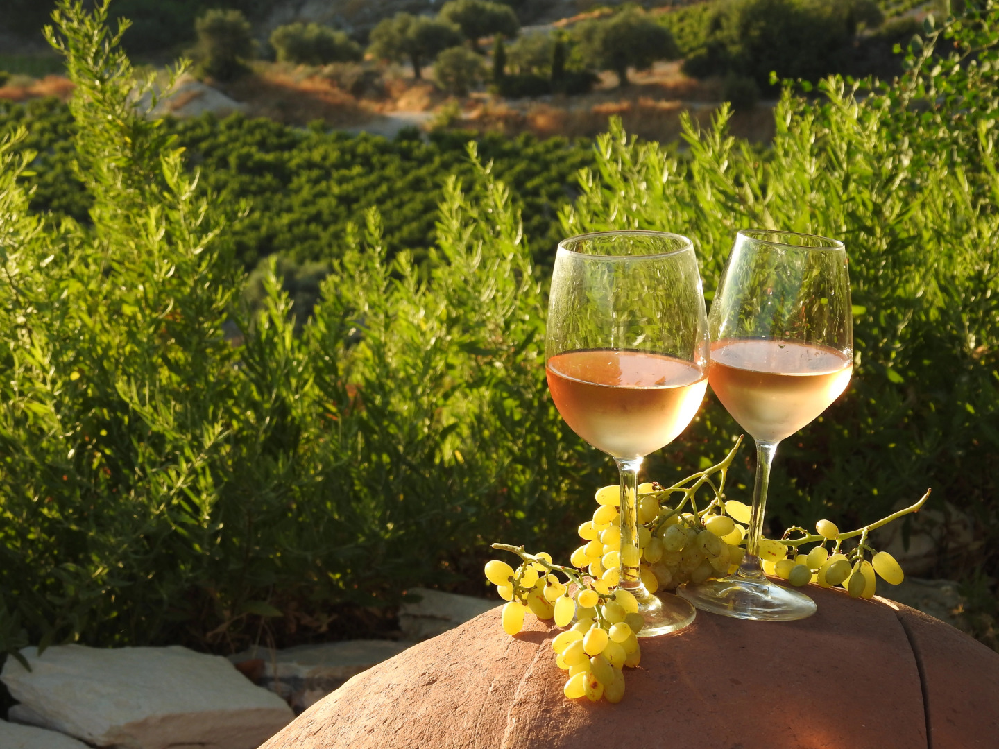 Глэмпинг Nirvana Yurts