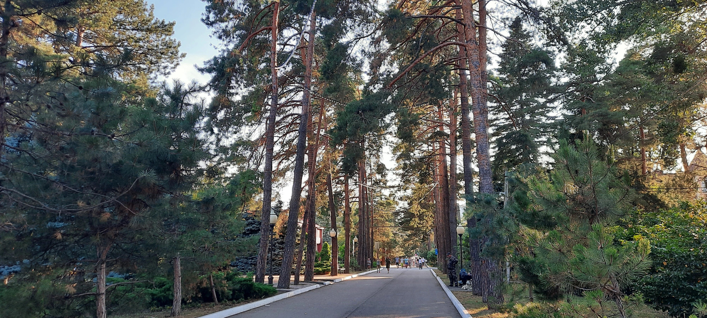 Отель Дом творчества Горячий ключ