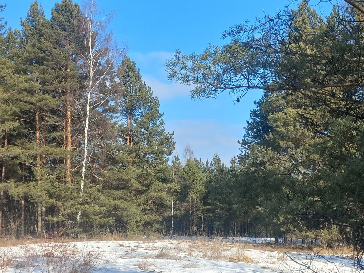 Частный дом Речная Заимка