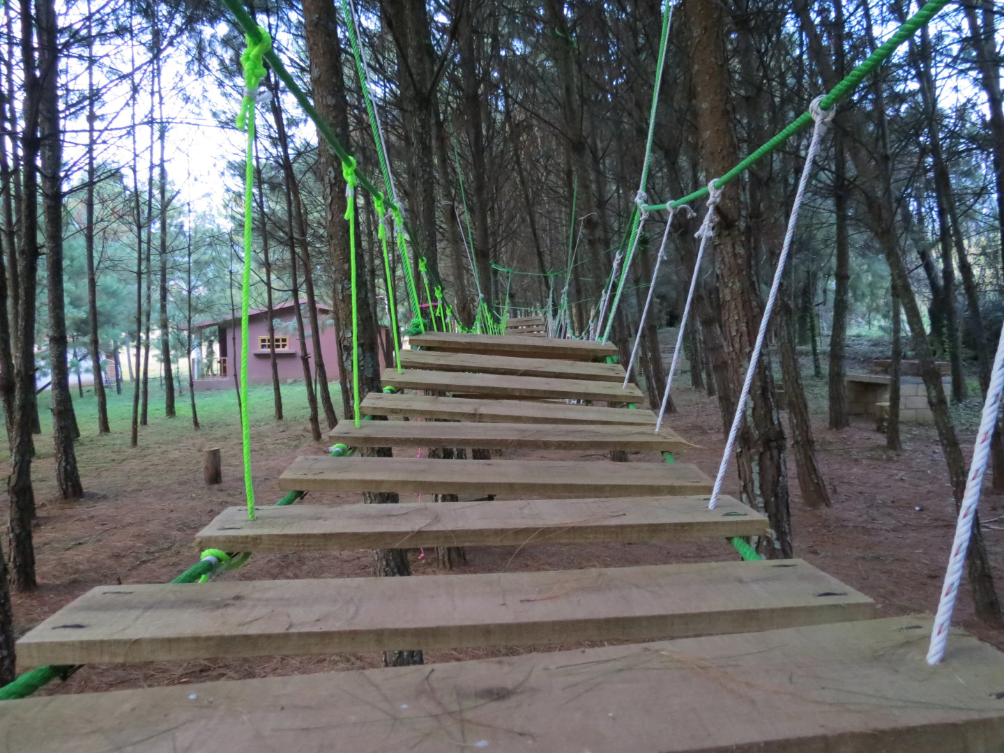 Отель Viña Real Cabañas Rotamundos