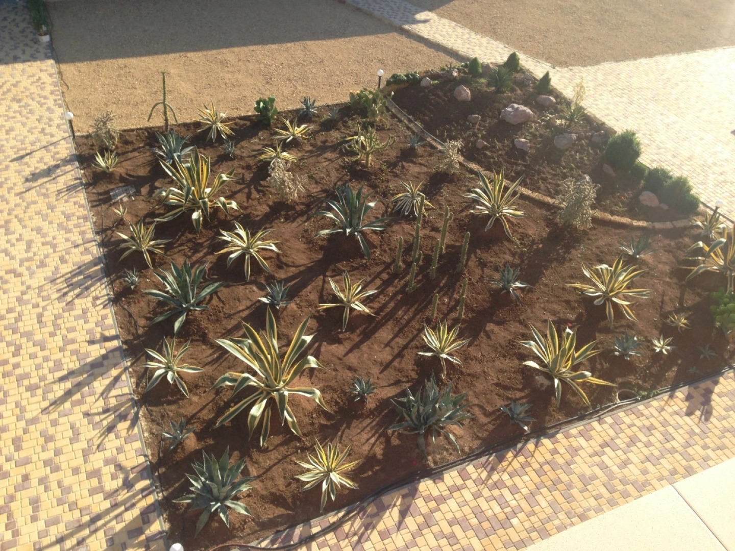 Отель Gala Paradise