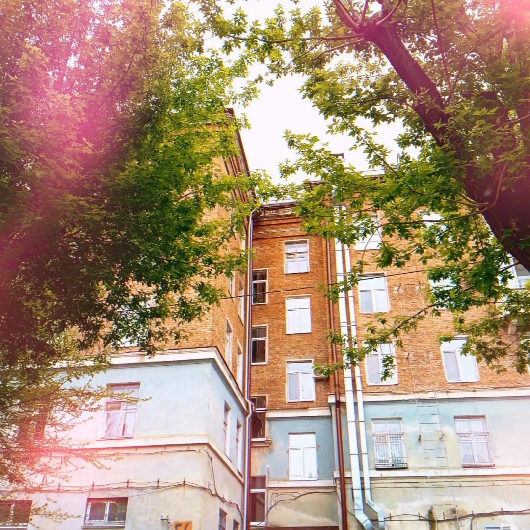 Квартира Студия с авторским декором Сказочный лес в красивом доме