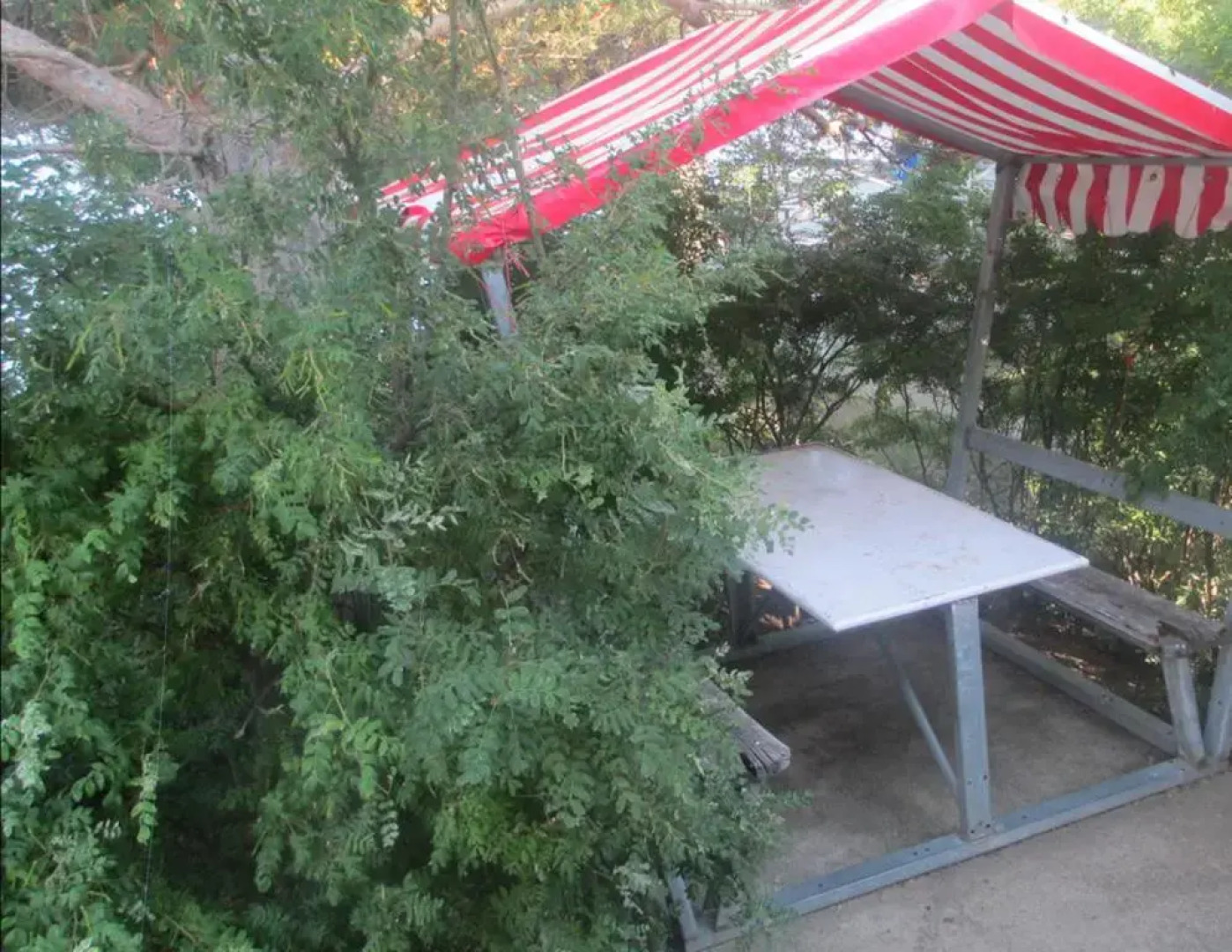 База Отдыха Nirvana