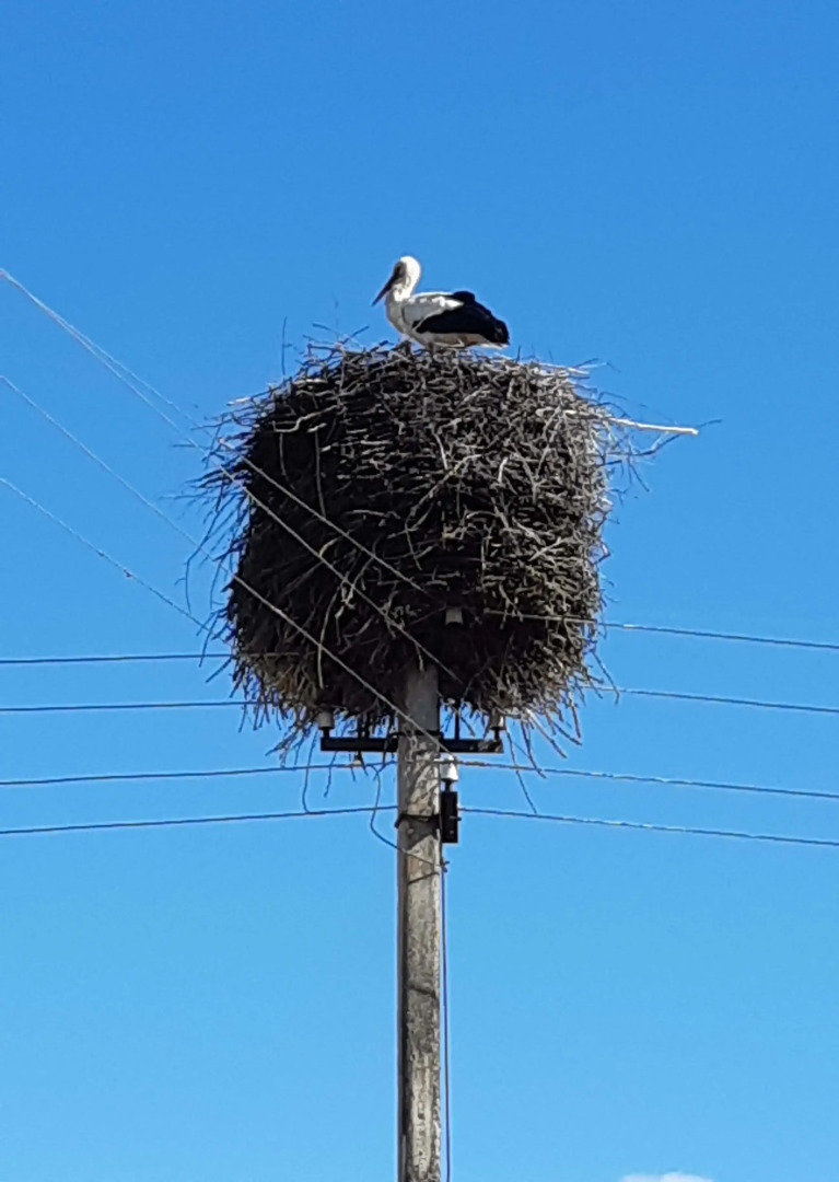 Гостевой дом в деревне Чернокуново