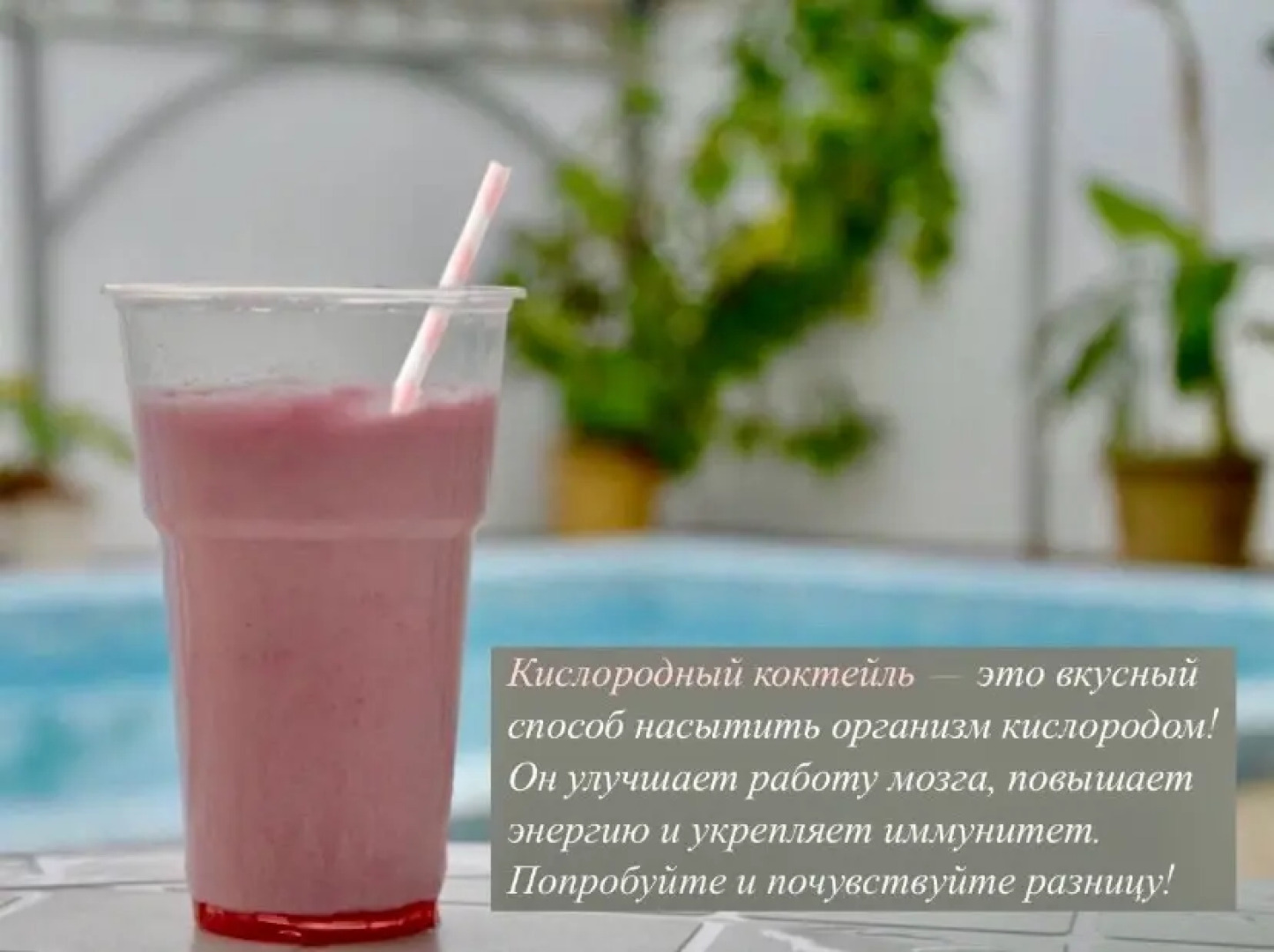 Отель Предгорье