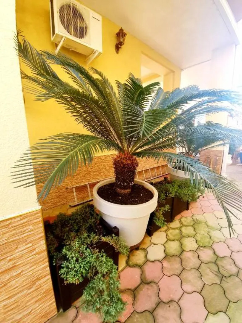 Курортный Гостевой Дом Лооленд