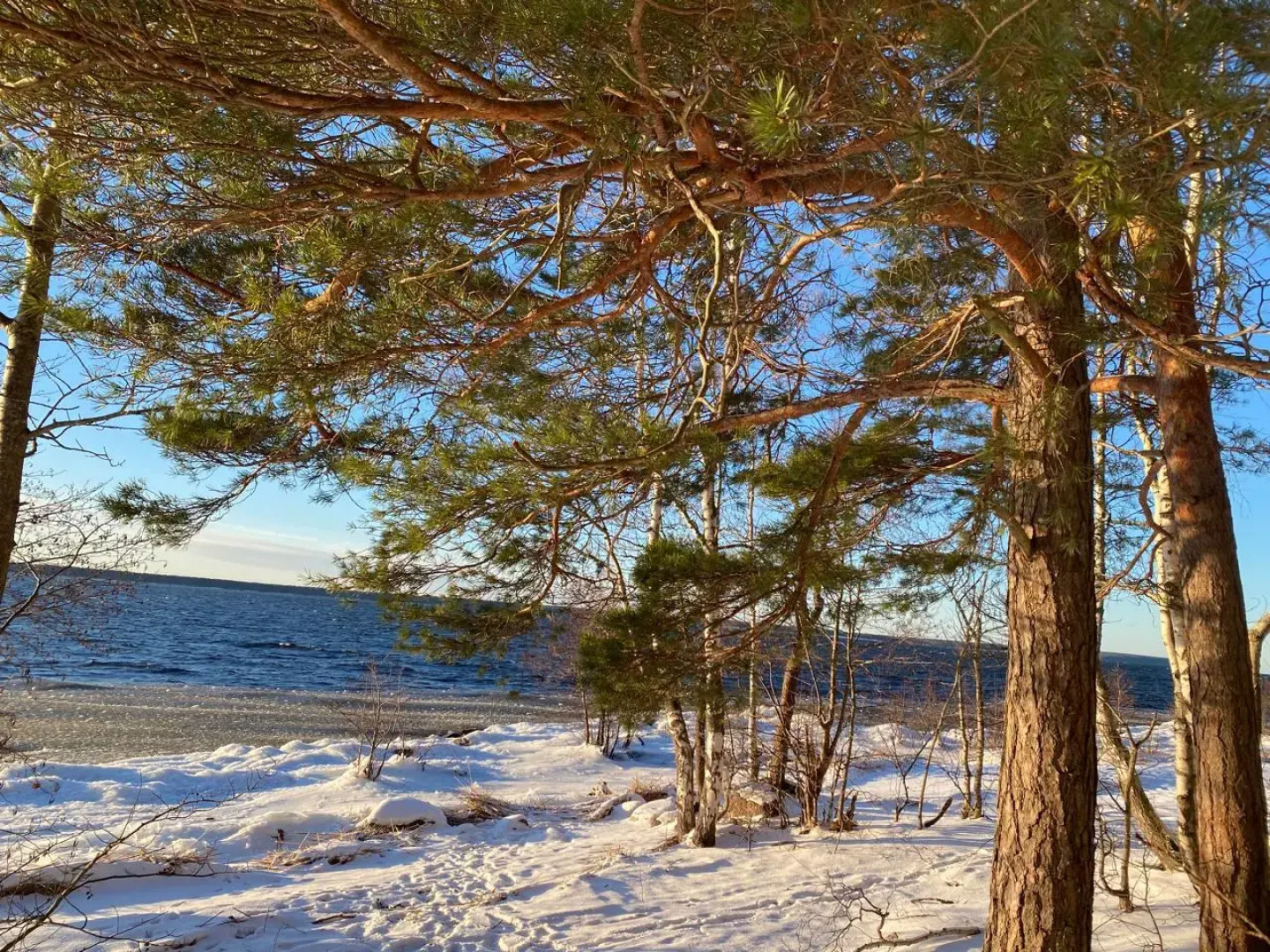 Частный дом на Береговой 3