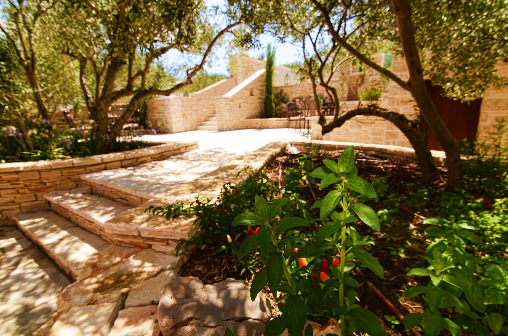 Апартаменты Villa Kos Murter