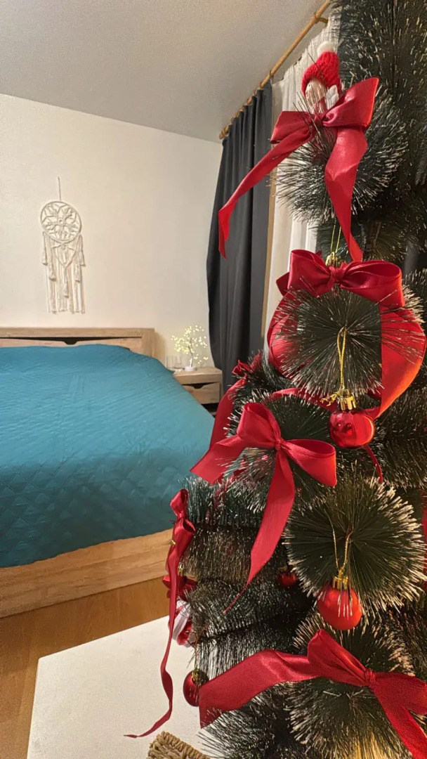 Квартира Современная для праздников