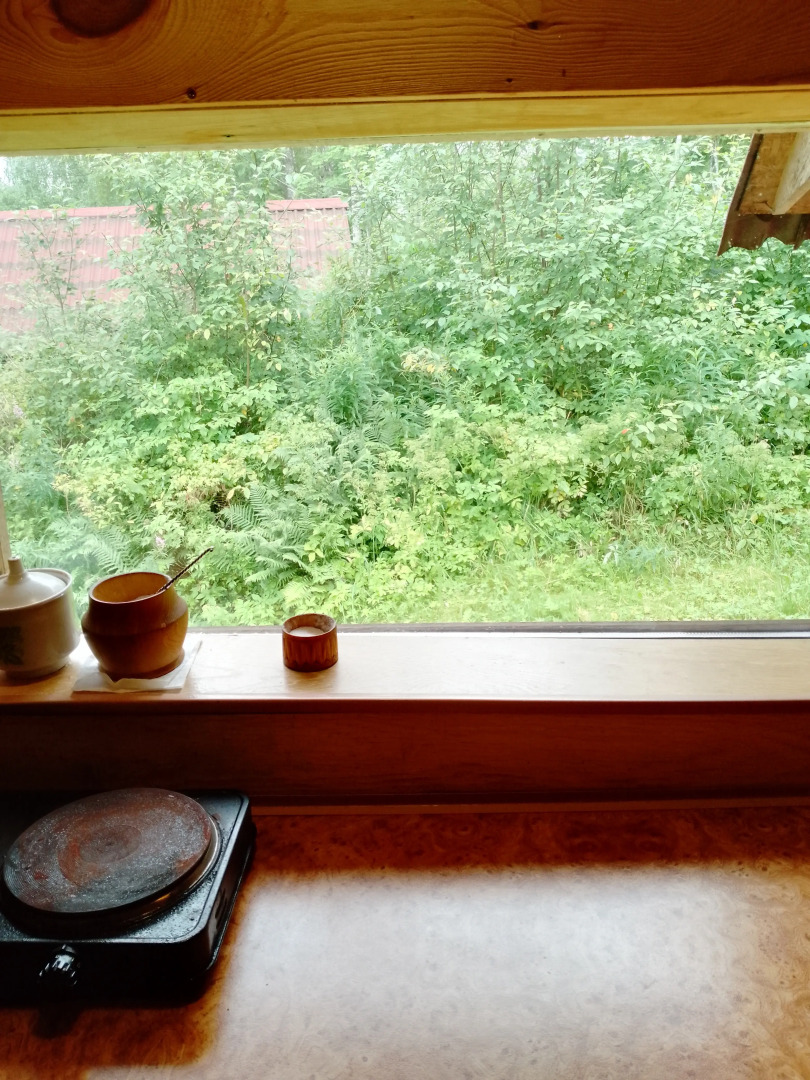 Гостевой дом Лубяной домик у леса