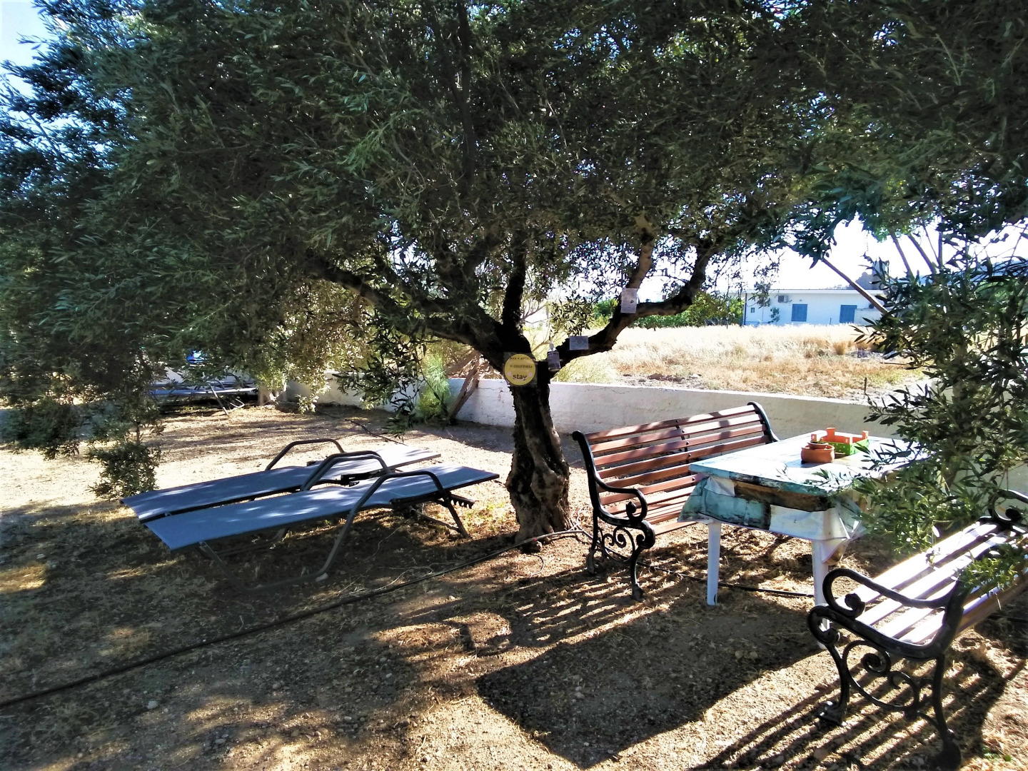 Апарт-Отель New Aurora Apts Studios