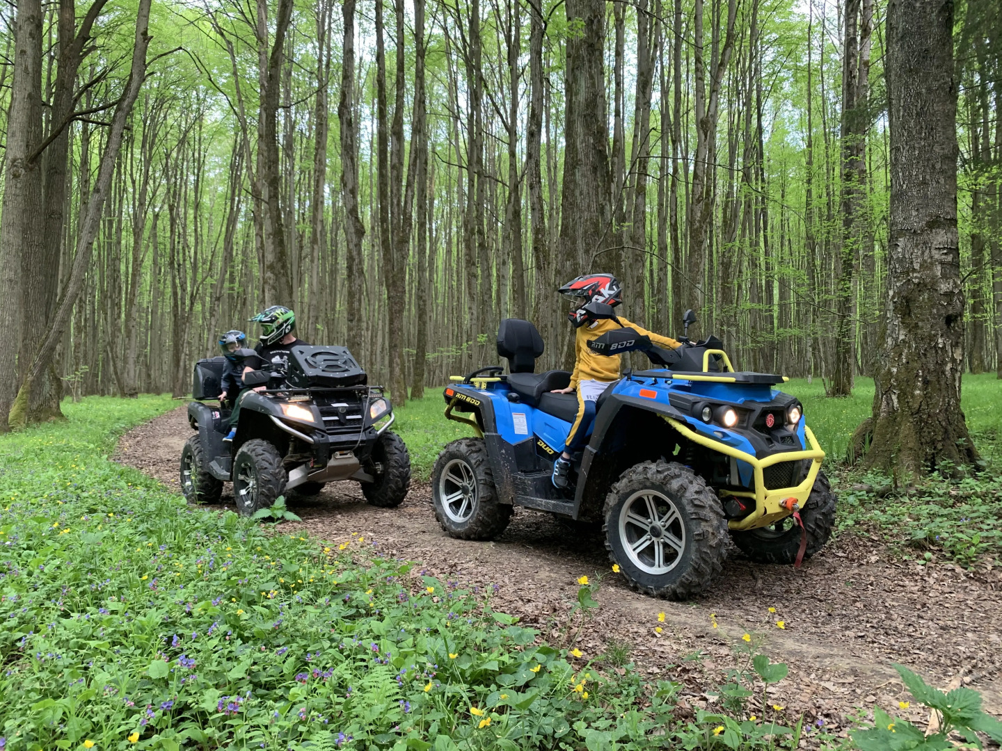 Вилла Your Friends Tarusa