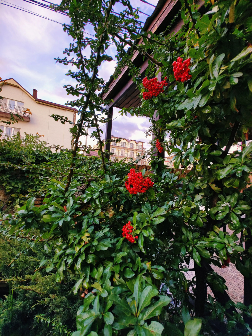 Гостевой дом Наутилус